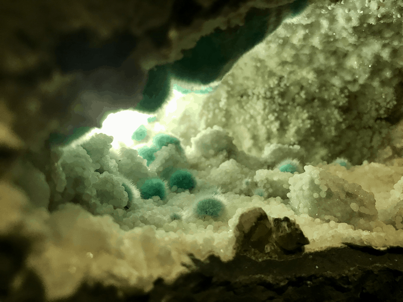 Tạp chí Du lịch Wanderlust Tips Đón xuân mới rạng rỡ tại Lễ hội hoa Xuân Bái Đính 2019