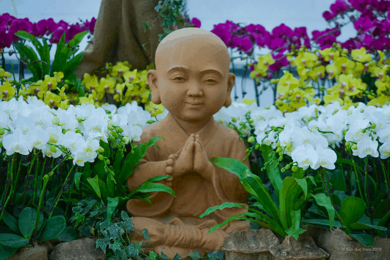 Tạp chí Du lịch Wanderlust Tips Đón xuân mới rạng rỡ tại Lễ hội hoa Xuân Bái Đính 2019
