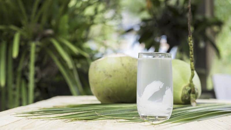 Du khách thích mê những món ăn từ dừa của Bến Tre 9 Tạp chí Du lịch Wanderlust Tips | Du khách thích mê những món ăn từ dừa của Bến Tre