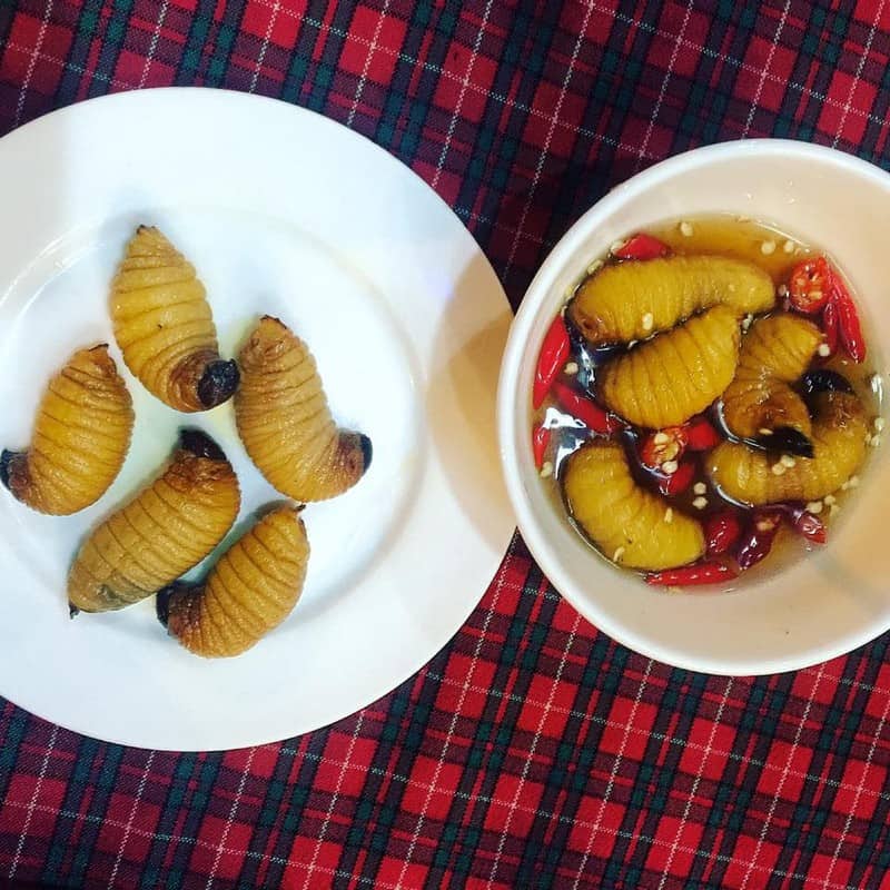 Du khách thích mê những món ăn từ dừa của Bến Tre 6 Tạp chí Du lịch Wanderlust Tips | Du khách thích mê những món ăn từ dừa của Bến Tre