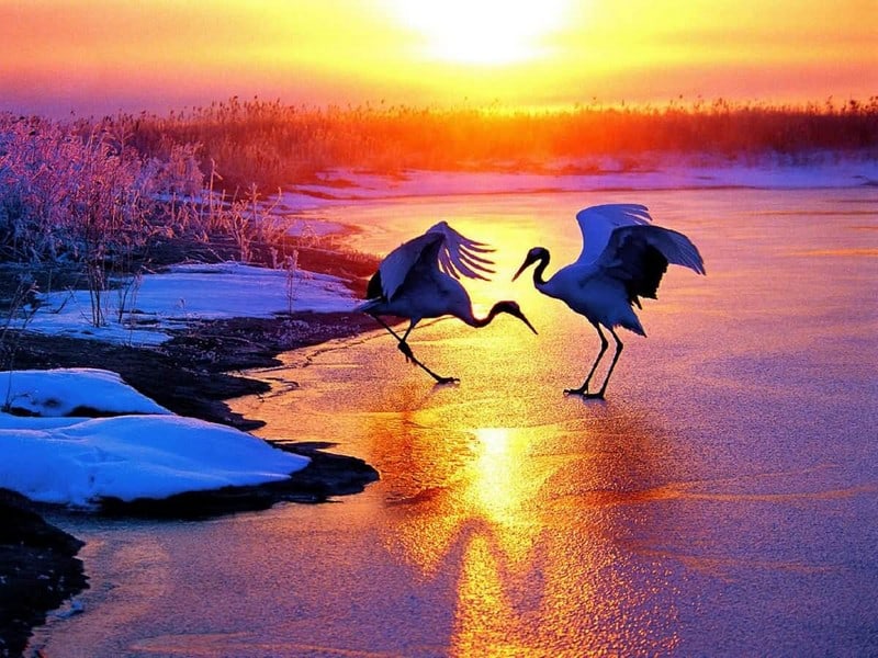 Tạp chí Du lịch Wanderlust Tips Du lịch Cát Lâm: Về với vùng đất hơn 50.000 năm lịch sử