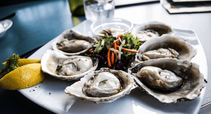 Tạp chí Du lịch Wanderlust Tips Du lịch New Zealand: Vùng đất của Chúa Trời