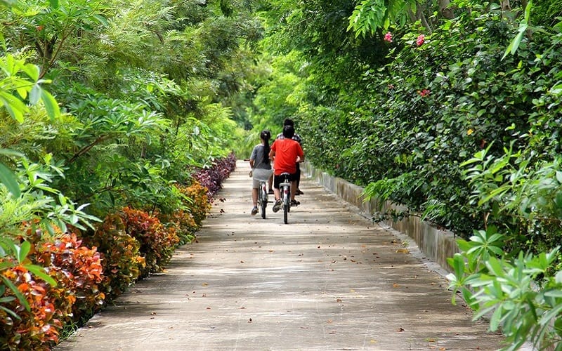 Tạp chí Du lịch Wanderlust Tips | Khu du lịch Long Việt mang đậm dấu ấn miền quê thanh bình