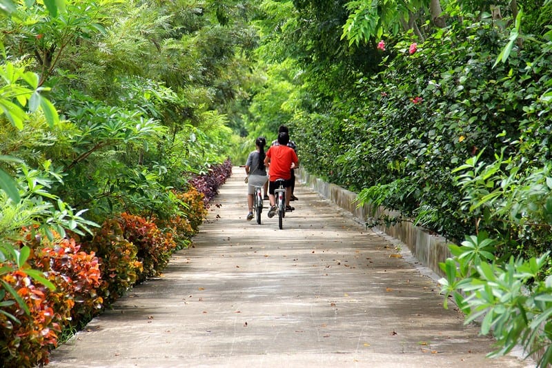 Tạp chí Du lịch Wanderlust Tips | Khu du lịch Long Việt mang đậm dấu ấn miền quê thanh bình