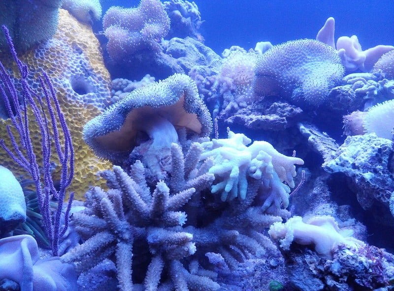 Tạp chí Du lịch Wanderlust Tips Tất tần tật kinh nghiệm vui chơi Công viên Văn hóa Đầm Sen