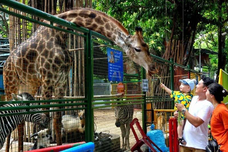 Tạp chí Du lịch Wanderlust Tips Tất tần tật kinh nghiệm vui chơi Công viên Văn hóa Đầm Sen