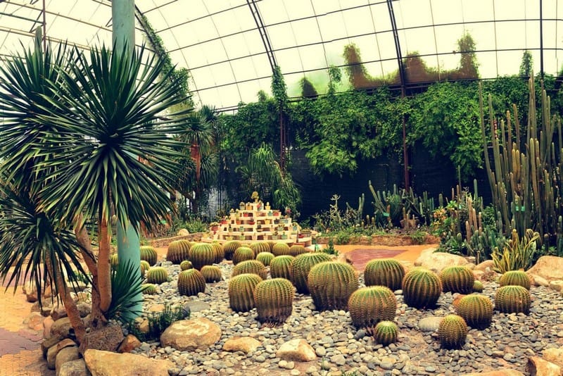 Tạp chí Du lịch Wanderlust Tips Tất tần tật kinh nghiệm vui chơi Công viên Văn hóa Đầm Sen