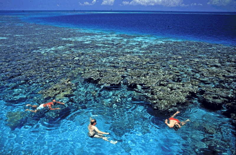 Những điều cần biết trước khi đi du lịch Belize 16 Tạp chí Du lịch Wanderlust Tips Những điều cần biết trước khi đi du lịch Belize