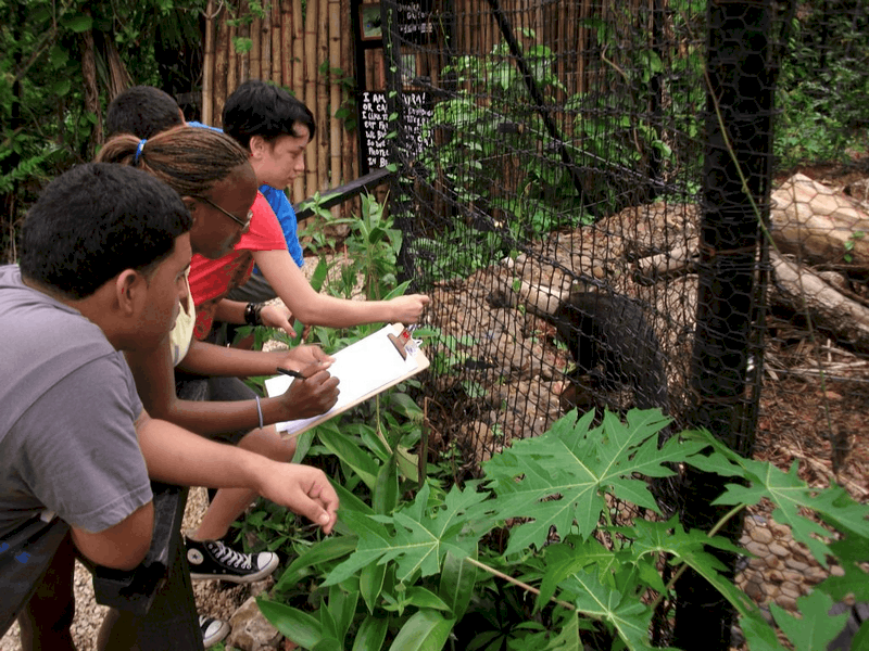 Những điều cần biết trước khi đi du lịch Belize 17 Tạp chí Du lịch Wanderlust Tips Những điều cần biết trước khi đi du lịch Belize