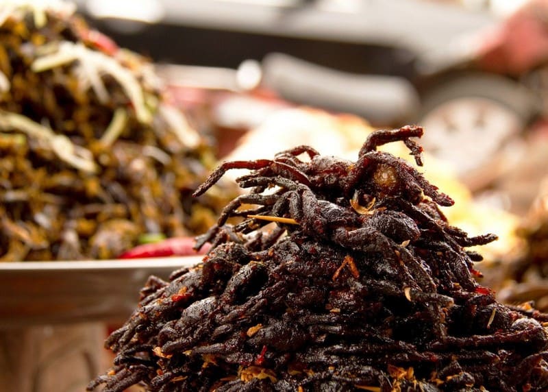 Những món ăn Thái Lan chỉ có người can đảm mới dám thử 6 Tạp chí Du lịch Wanderlust Tips | Những món ăn Thái Lan chỉ có người can đảm mới dám thử