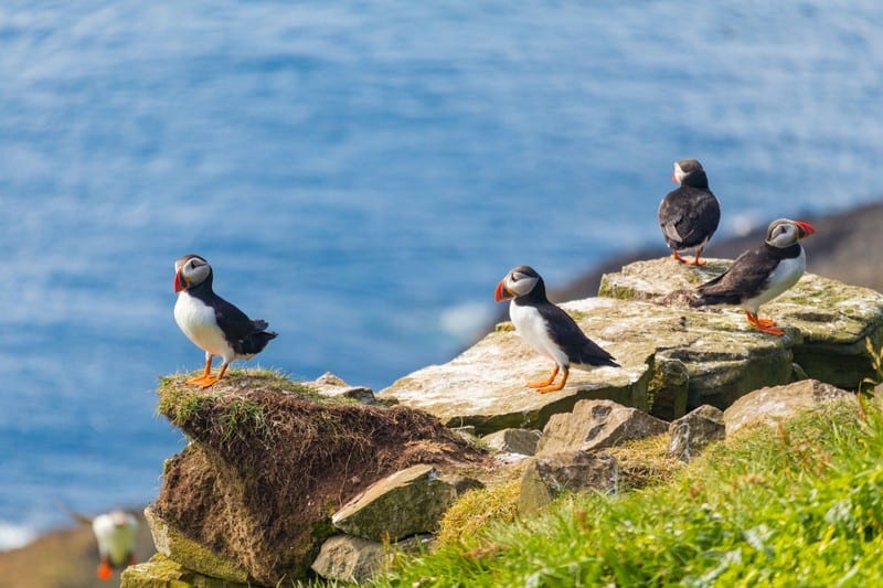 Tạp chí Du lịch Wanderlust Tips Quần đảo Faroe tạm đóng cửa để bảo tồn du lịch