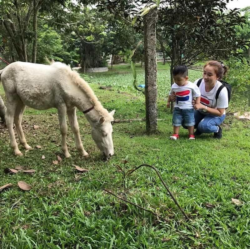 Tạp chí Du lịch Wanderlust Tips | Tận hưởng cuộc sống ở khu du lịch Vườn Xoài