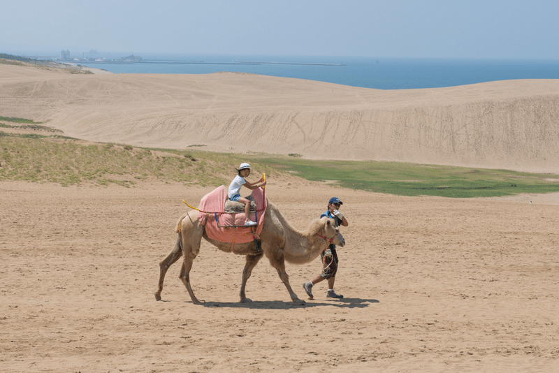 Ghé thăm cồn cát duy nhất trong lòng Nhật Bản tại Tottori 7 Tạp chí Du lịch Wanderlust Tips Ghé thăm cồn cát độc đáo duy nhất tại Tottori, Nhật Bản