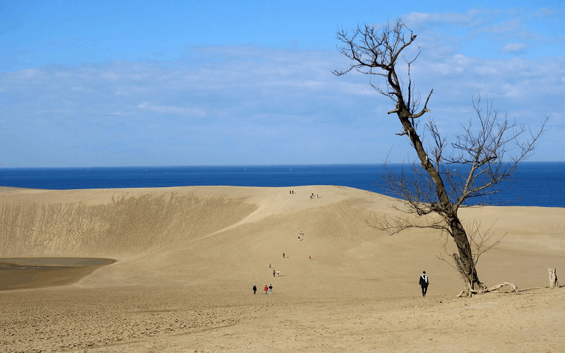 Ghé thăm cồn cát duy nhất trong lòng Nhật Bản tại Tottori 5 Tạp chí Du lịch Wanderlust Tips Ghé thăm cồn cát độc đáo duy nhất tại Tottori, Nhật Bản