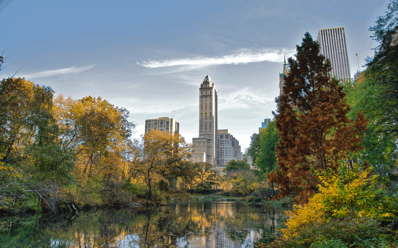 Central Park: Màu xanh khổng lồ trong lòng New York