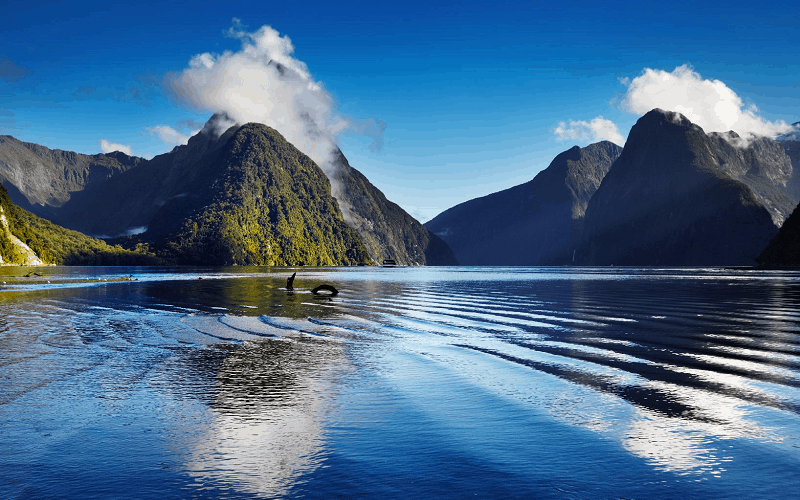 Du lịch New Zealand: Vùng đất của Chúa Trời 5 Wanderlust Tips du lich new zealand vung dat cua chua troi 13