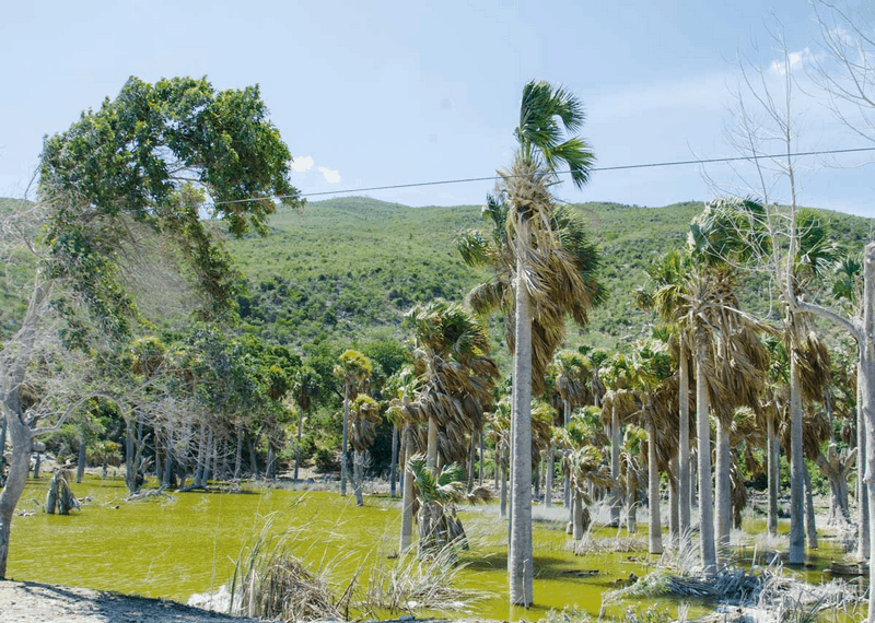 Tạp chí Du lịch Wanderlust Tips Kinh nghiệm du lịch Haiti: Quốc gia bí ẩn vùng Caribbean