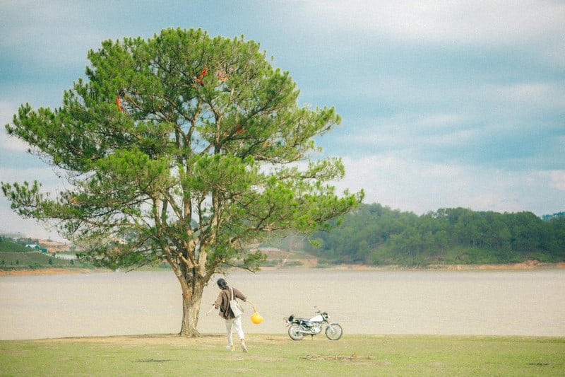 Tạp chí Du lịch Wanderlust Tips | 9X mê du lịch đến Đà Lạt mùa mưa, kiếm tìm sự an yên 