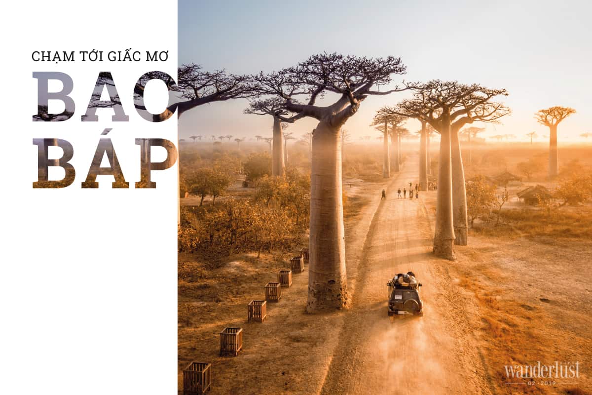 Tạp chí Du lịch Wanderlust Tips Chạm tới giấc mơ Bao Báp - điểm đến