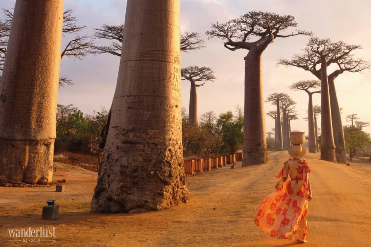 Tạp chí Du lịch Wanderlust Tips Chạm tới giấc mơ Bao Báp - điểm đến