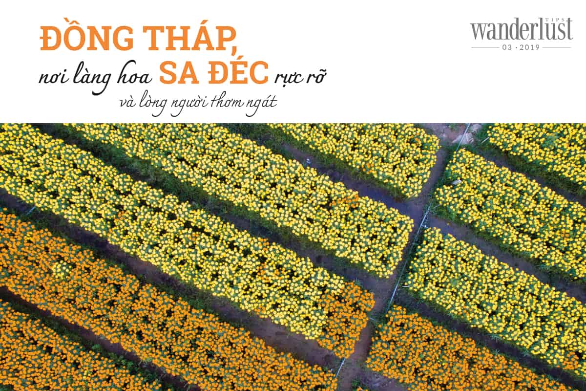 Đồng Tháp, nơi làng hoa Sa Đéc rực rỡ và lòng người thơm ngát 5 Tạp chí Du lịch Wanderlust Tips Đồng Tháp, nơi làng hoa Sa Đéc rực rỡ và lòng người thơm ngát - điểm đến