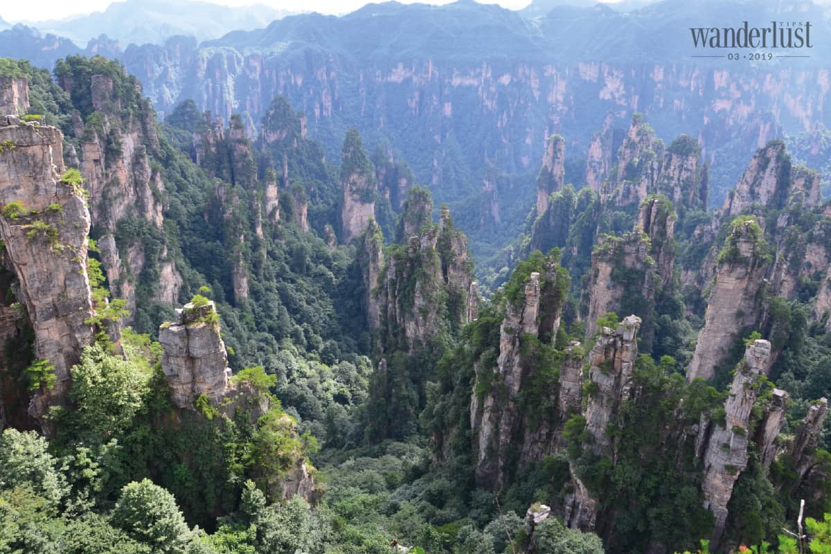 Lẫy lừng nhân gian tiên cảnh Trương Gia Giới 9 Tạp chí Du lịch Wanderlust Tips Lẫy lừng nhân gian tiên cảnh: Trương Gia Giới - điểm đến