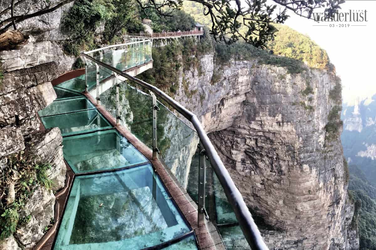 Lẫy lừng nhân gian tiên cảnh Trương Gia Giới 13 Tạp chí Du lịch Wanderlust Tips Lẫy lừng nhân gian tiên cảnh: Trương Gia Giới - điểm đến