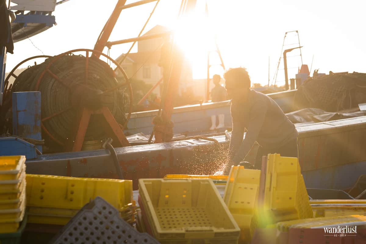 Tạp chí Du lịch Wanderlust Tips Món quà từ biển - ẩm thực