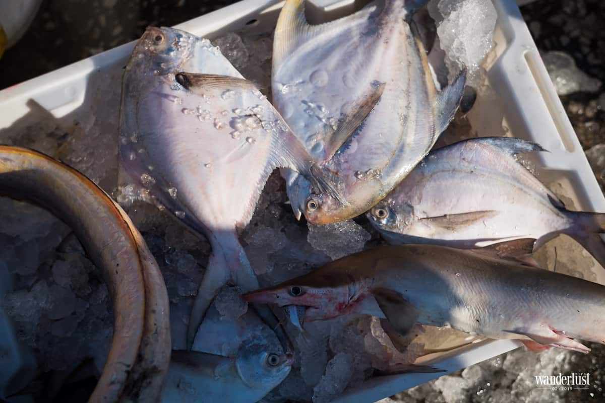 Tạp chí Du lịch Wanderlust Tips Món quà từ biển - ẩm thực