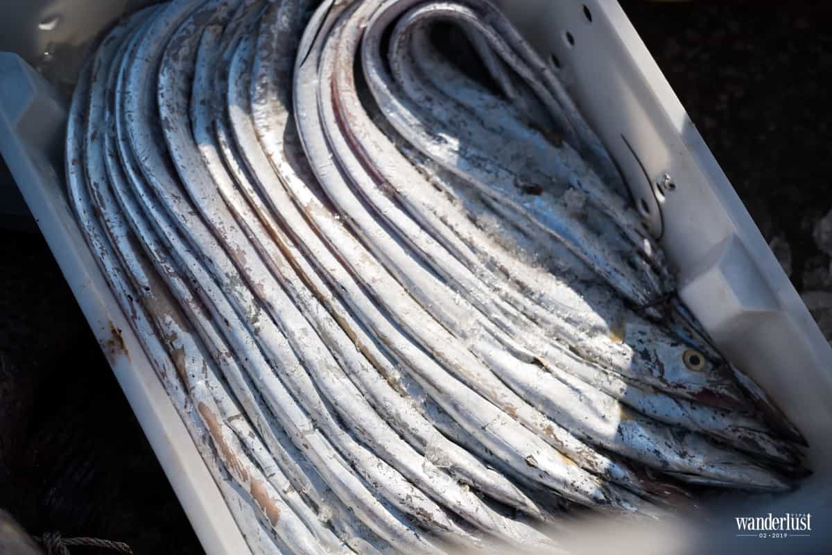 Tạp chí Du lịch Wanderlust Tips Món quà từ biển - ẩm thực