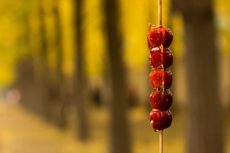 Tạp chí Du lịch Wanderlust Tips | Bingtanghulu: Món kẹo hồ lô nổi danh Trung Quốc