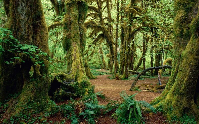 Bỏ túi những điều cần biết khi du lịch Burundi 14 Tạp chí Du lịch Wanderlust Tips Bỏ túi những điều cần biết khi du lịch Burundi