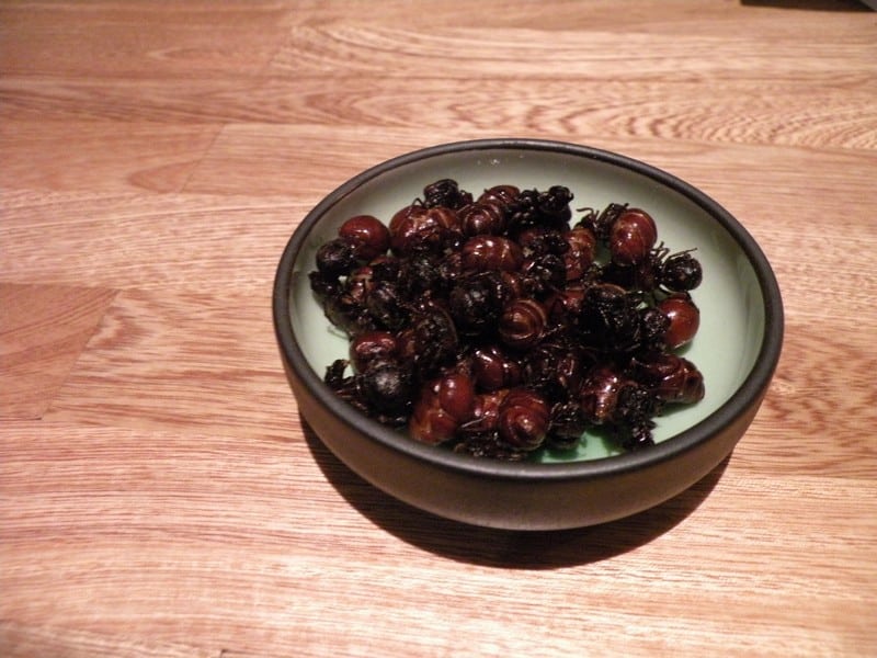 Tạp chí Du lịch Wanderlust Tips Cẩm nang du lịch Colombia từ A - Z