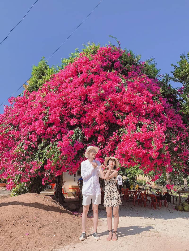 Tạp chí Du lịch Wanderlust Tips | Cặp đôi Đà Nẵng và những hình ảnh du lịch đẹp lịm tim