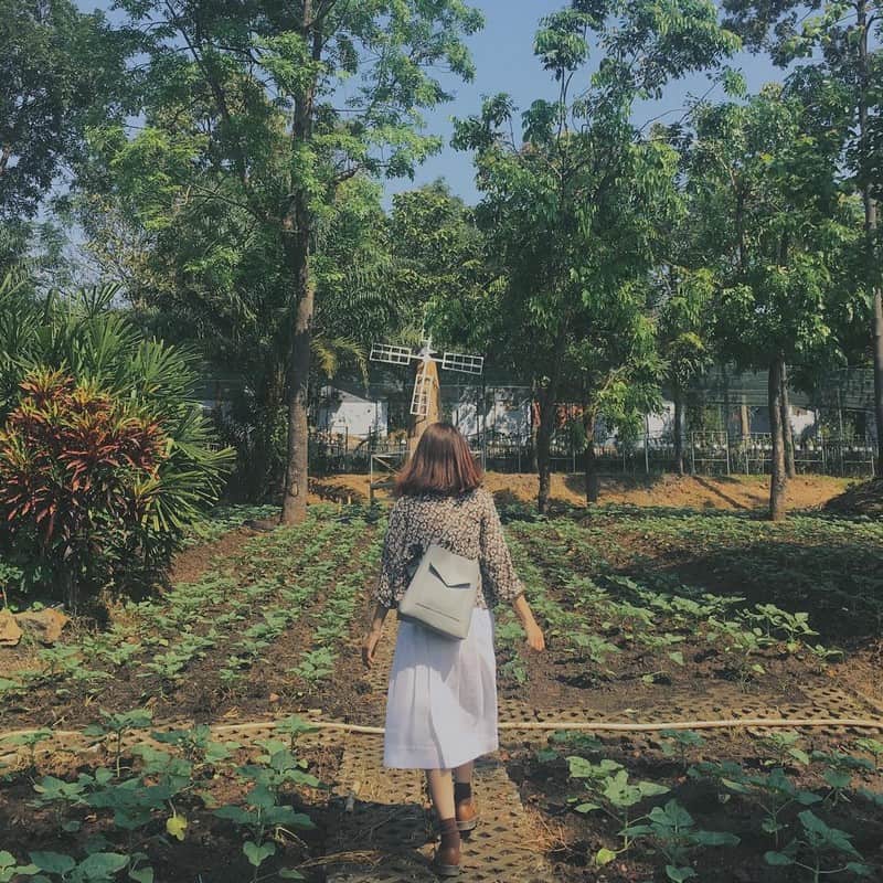 Tạp chí Du lịch Wanderlust Tips | Đắm mình trong không gian hữu tình của khu du lịch Bửu Long