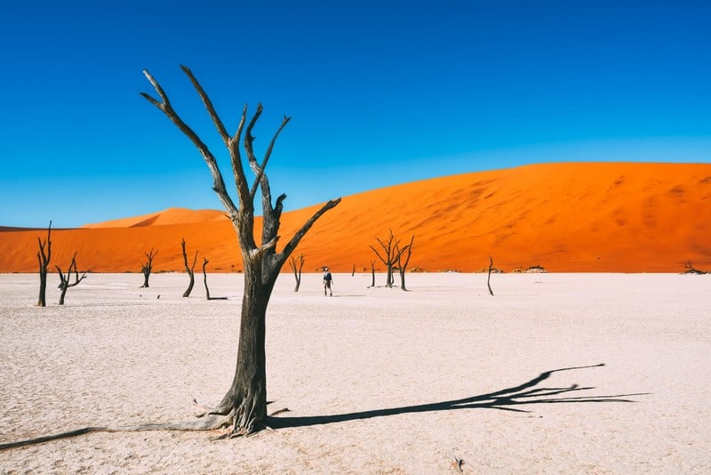 Tạp chí Du lịch Wanderlust Tips | Đi tìm vẻ đẹp hoang dã trong lòng Namibia 