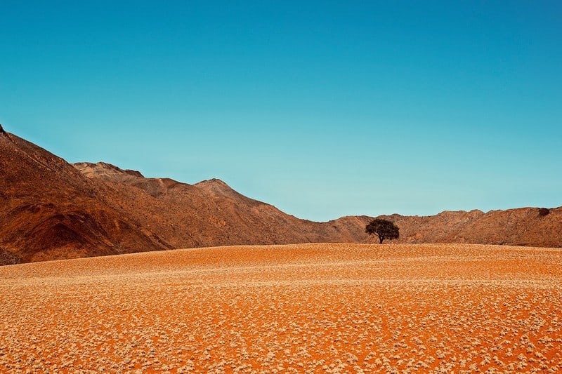 Tạp chí Du lịch Wanderlust Tips | Đi tìm vẻ đẹp hoang dã trong lòng Namibia 