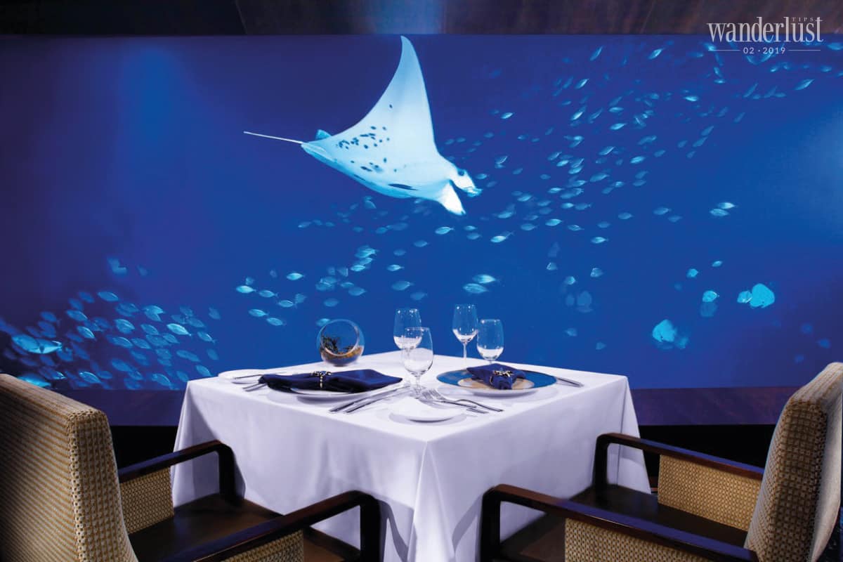 Tạp chí Du lịch Wanderlust Tips Điều tuyệt vời gì đang chờ đợi bạn ở Resorts World Sentosa Singapore?