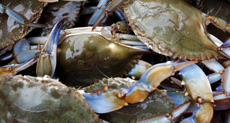 Tạp chí Du lịch Wanderlust Tips Du lịch Chiết Giang khám phá mảnh đất thiên đường nơi hạ giới