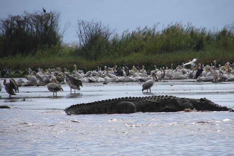 Du lịch Ethiopia vén màn vùng đất bí ẩn 16 Tạp chí Du lịch Wanderlust Tips Đi du lịch Ethiopia vén màn vùng đất bí ẩn