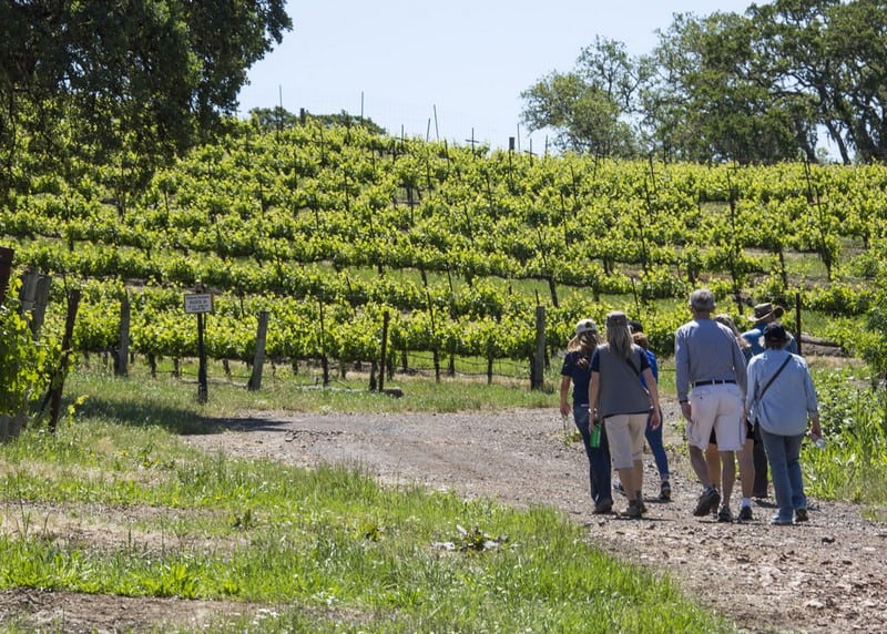 Tạo chí Du lịch Wanderlust Tips Du lịch Jordan, đến với vùng đất thánh