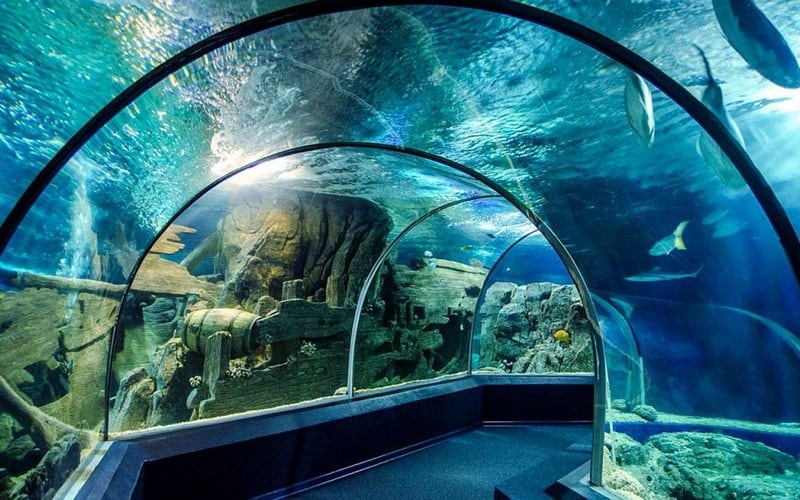 Tạp chí Du lịch Wanderlust Tips Du lịch Sochi, thành phố biển xinh đẹp của Nga