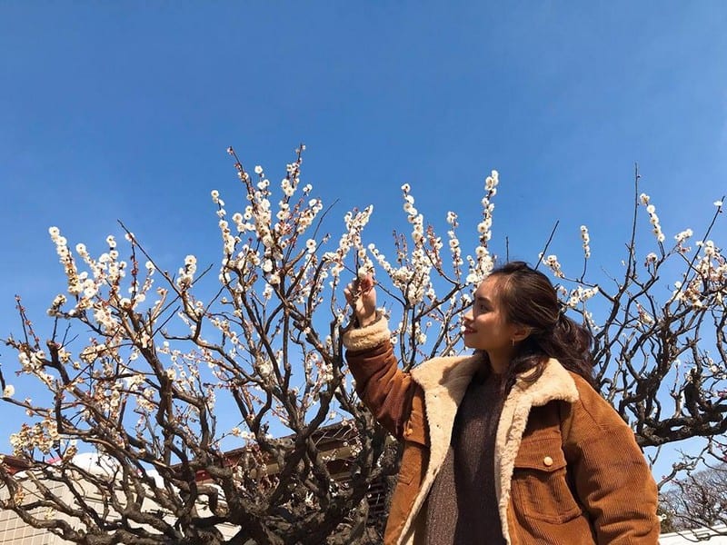 Tạp chí Du lịch Wanderlust Tips | Hành trình khám phá Nhật Bản đẹp như mơ của cô gái Hà thành