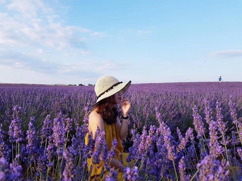 Tạp chí Du lịch Wanderlust Tips | Hành trình khám phá Nhật Bản đẹp như mơ của cô gái Hà thành