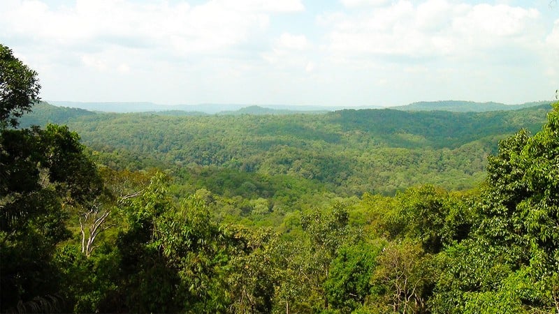 Khám phá vườn Quốc gia Bù Gia Mập tươi xanh 7 Tạp chí Du lịch Wanderlust Tips | Khám phá vườn Quốc gia Bù Gia Mập tươi xanh