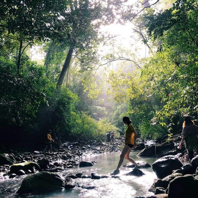 Khám phá vườn Quốc gia Bù Gia Mập tươi xanh 9 Tạp chí Du lịch Wanderlust Tips | Khám phá vườn Quốc gia Bù Gia Mập tươi xanh