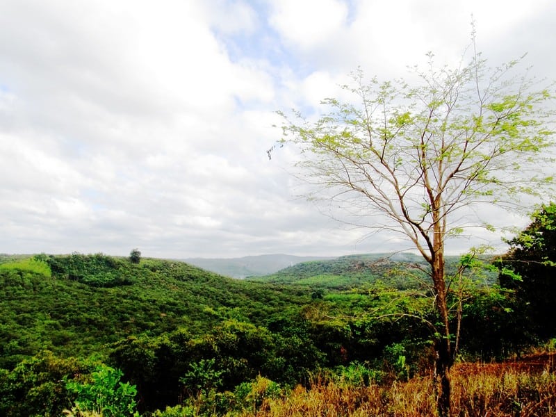 Khám phá vườn Quốc gia Bù Gia Mập tươi xanh 13 Tạp chí Du lịch Wanderlust Tips | Khám phá vườn Quốc gia Bù Gia Mập tươi xanh