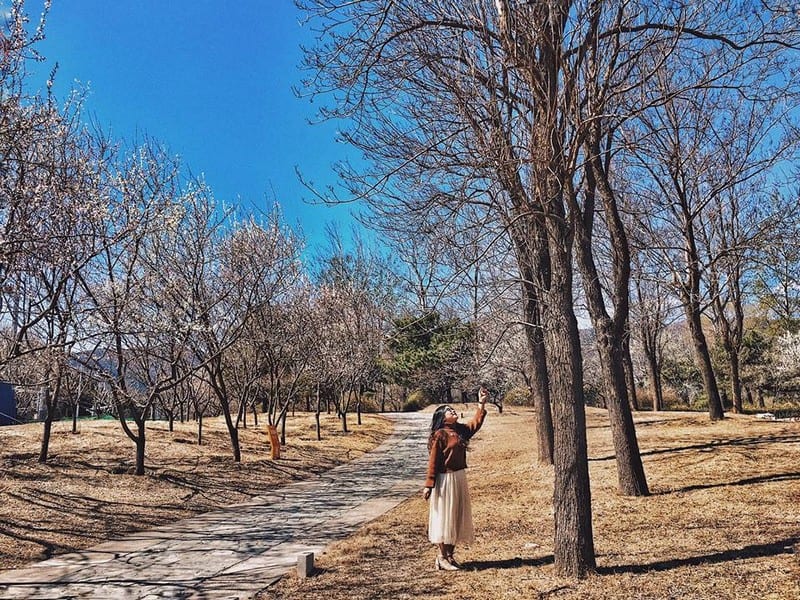 Bí kíp lưu giữ hình ảnh du lịch bằng điện thoại của 9X xinh đẹp 15 Tạp chí Du lịch Wanderlust Tips | Lưu giữ hình ảnh du lịch bằng điện thoại theo bí kíp của 9X xinh đẹp