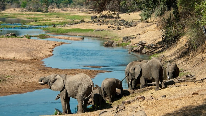 Tạp chí Du lịch Wanderlust Tips Những điều cần biết khi du lịch Tanzania