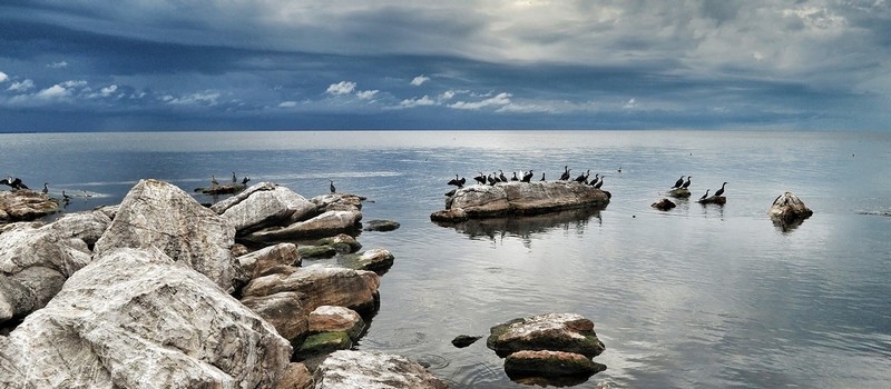 Tạp chí Du lịch Wanderlust Tips Những điều cần biết khi du lịch Tanzania